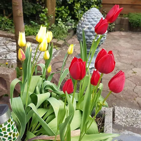 Holland Bed & Breakfast