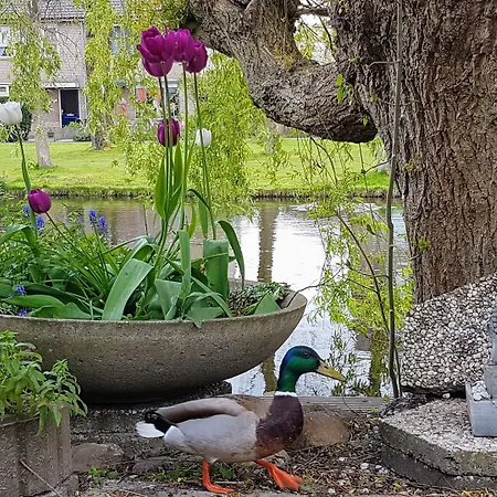 Holland Bed & Breakfast 2*