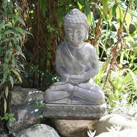 Holland 2* Purmerend