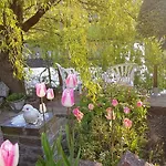 Holland Bed & Breakfast