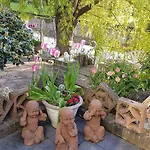 Holland Bed & Breakfast Purmerend