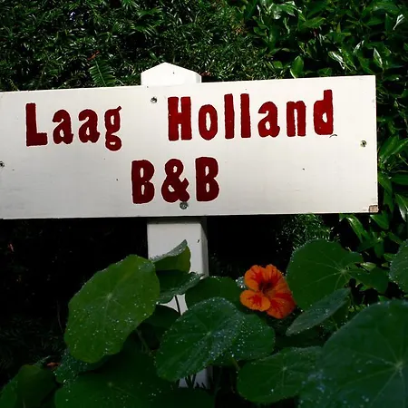 Holland 2* פורמרנד